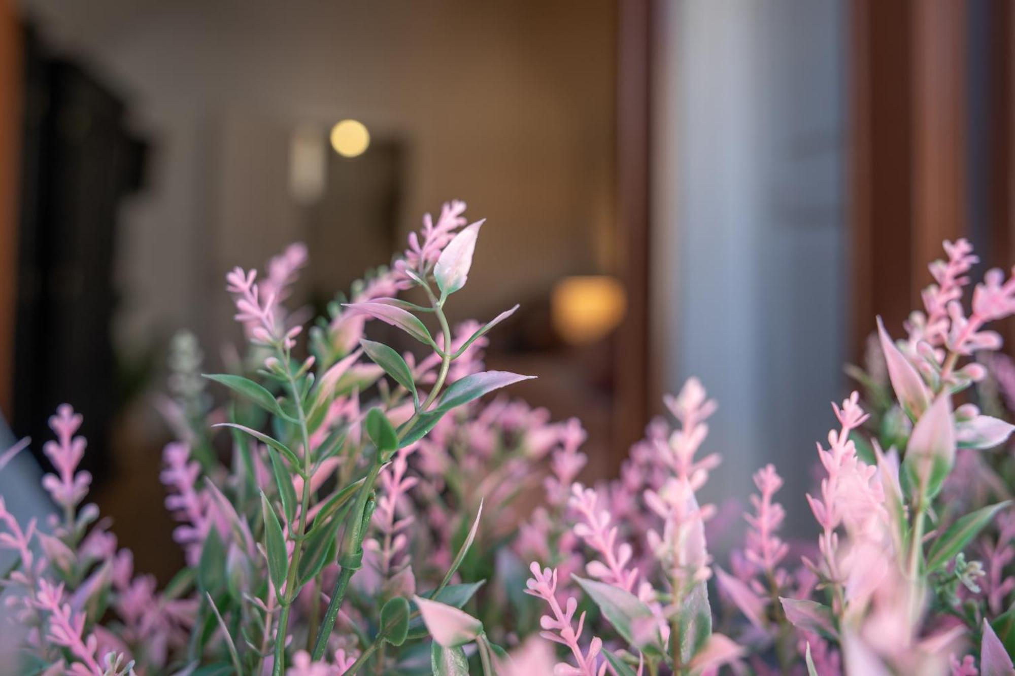 Mirone - Suite Apartments Catania Centro 외부 사진